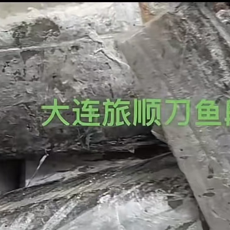 源源鲜-大连渤海湾旅顺新鲜自家刀鱼带鱼段  去头去尾 品质保证 