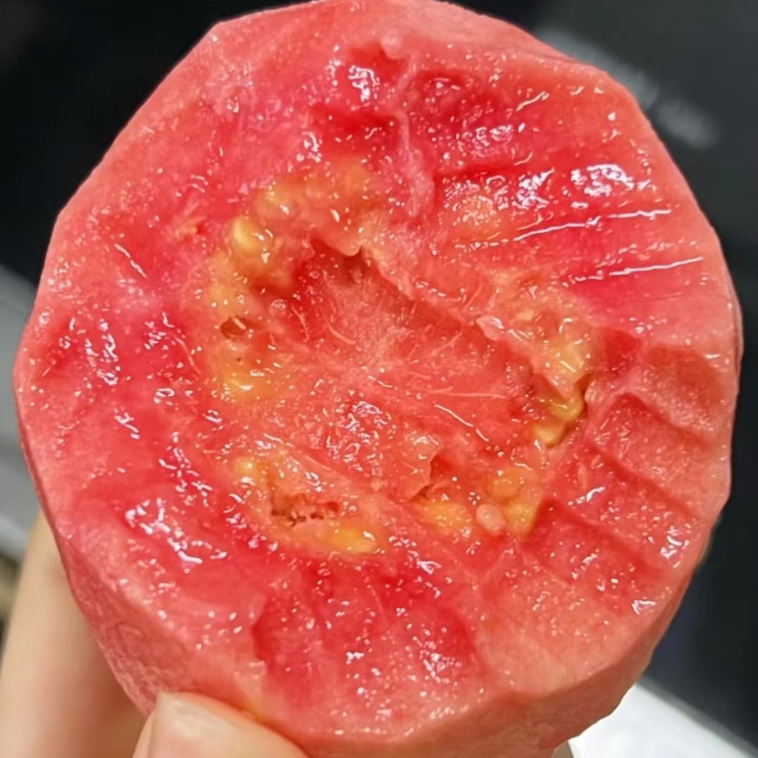 红心芭乐1箱毛重2斤