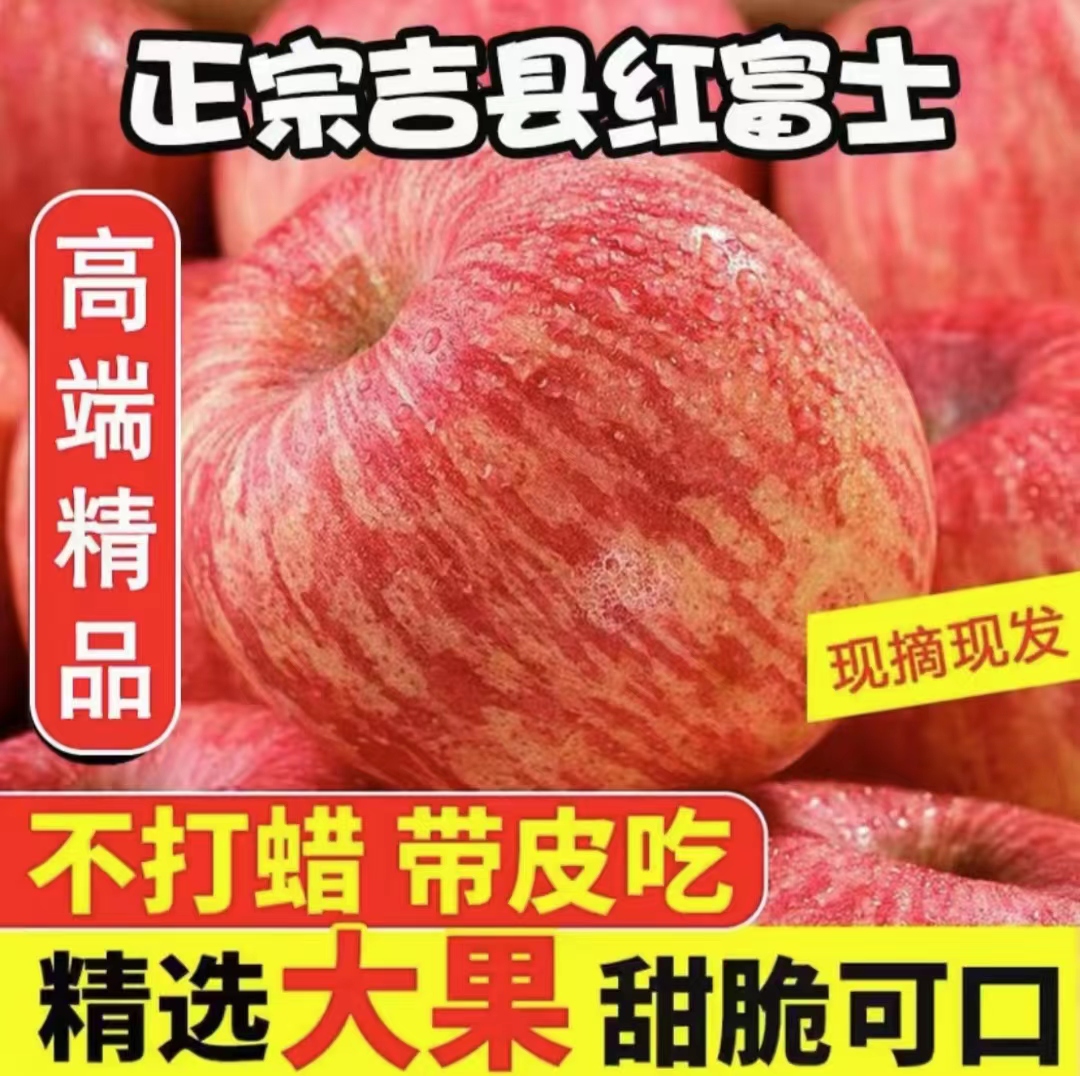 吉县红富士苹果脆甜多汁当季水果整箱包邮