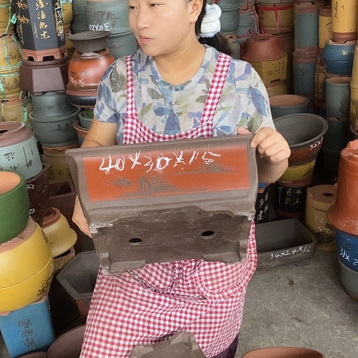 紫砂花盆盆栽花卉苗木种植