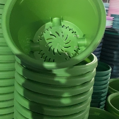 树脂四季3号草绿无托10个