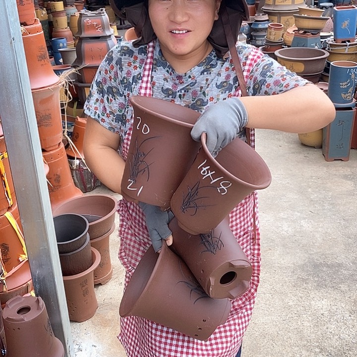 紫砂花盆盆栽植物花卉种植