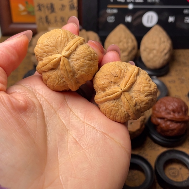 哔***嘴如图所示一物一拍57