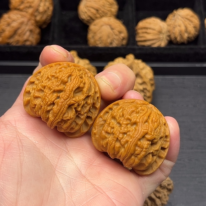 木质类秦岭突突突突突突突突