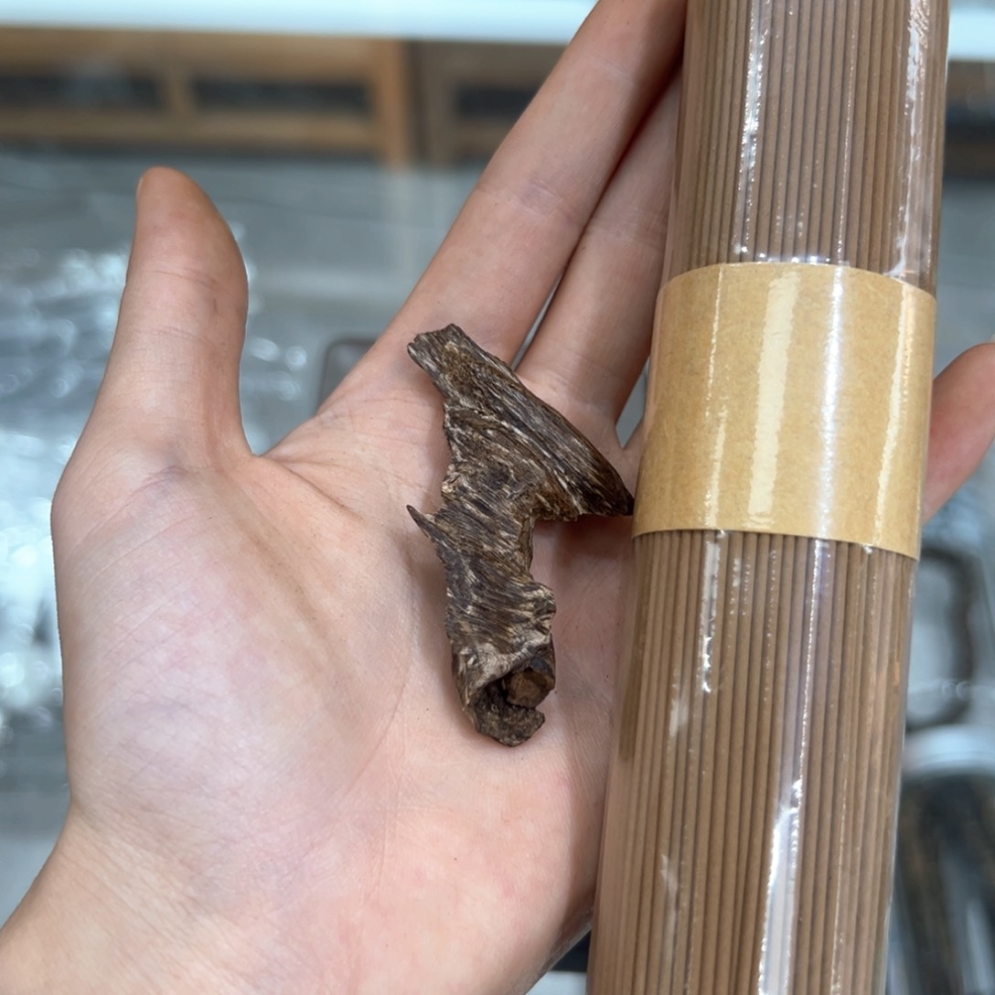 海南尖峰岭糖结老虫漏1.8克