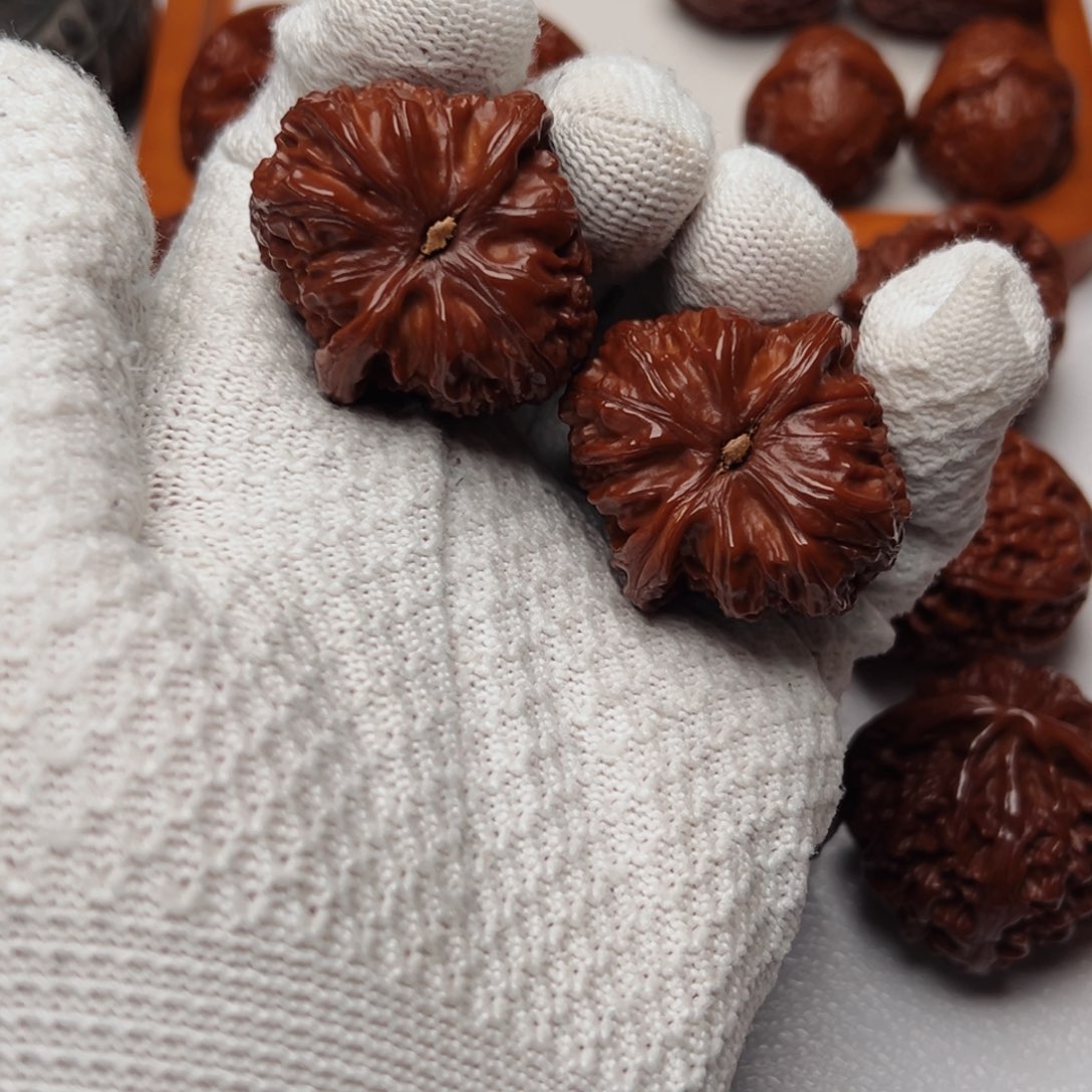 J***➠把件文玩核桃三角白狮子头文玩核桃