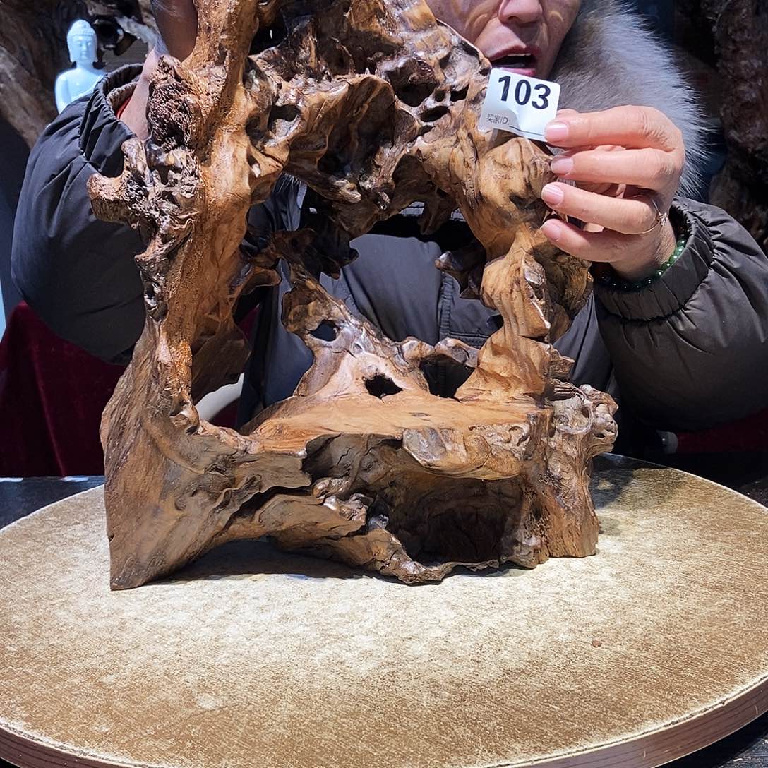 103。株木随行根艺