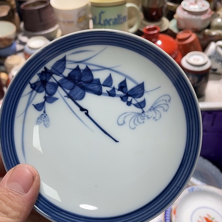 瓷片555555555555555555