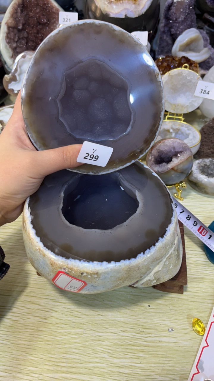 聚宝盆好看的葡萄紫盆