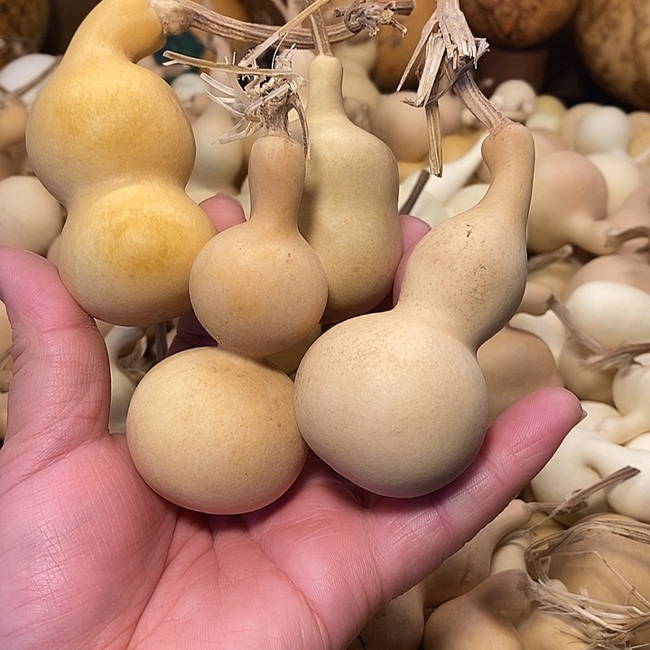 葫***说精品葫芦手把葫芦159