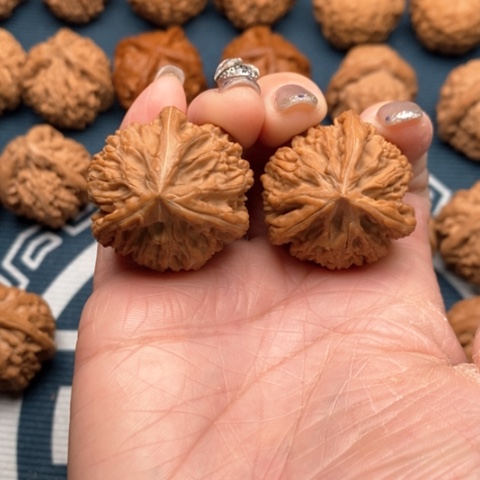 橄榄核手串/手链文山三棱33