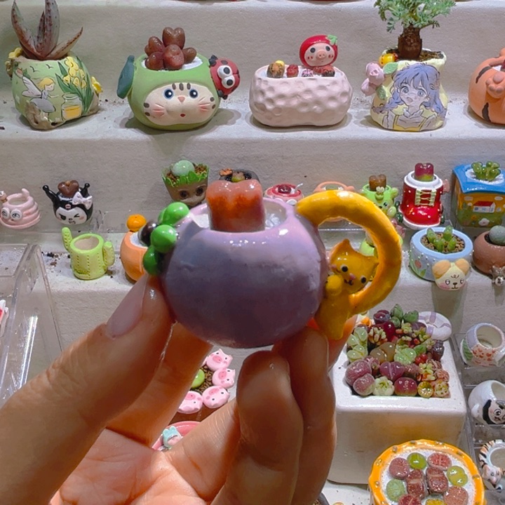 018高端多肉带盆土一套31