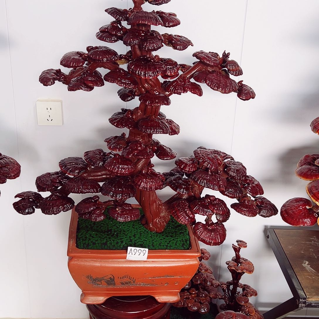 【闪购商品】全部花朵