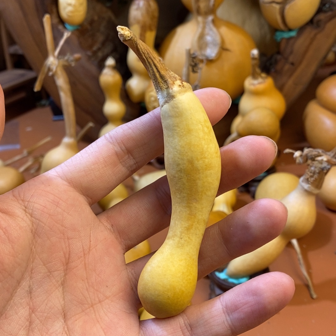 忕***佪教练教练教练咯无锡