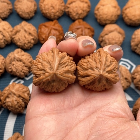 橄榄核手串/手链文山三棱33