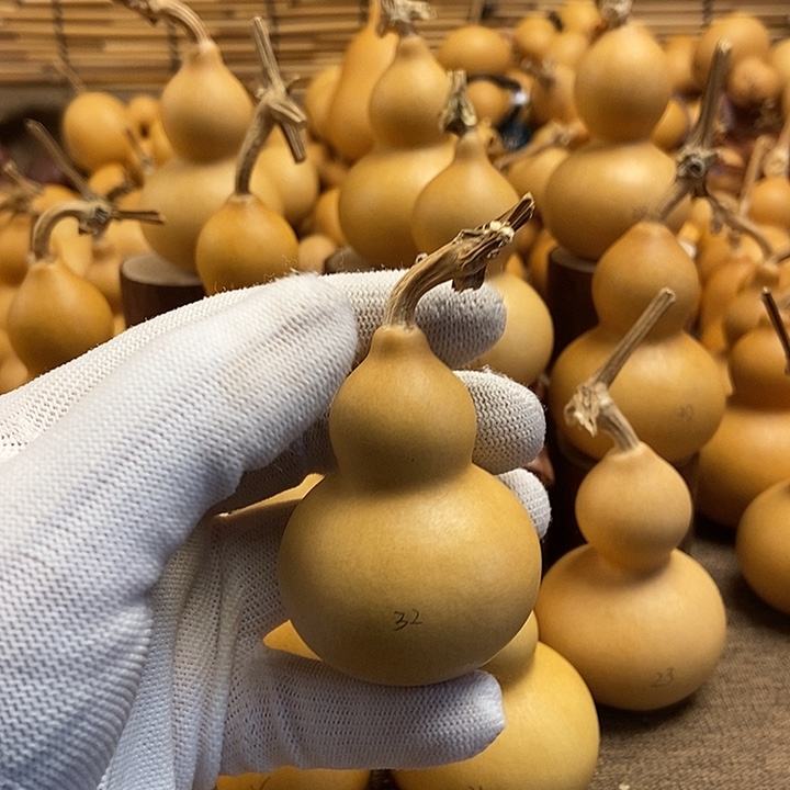 文玩葫芦 完美主义者 慎拍32