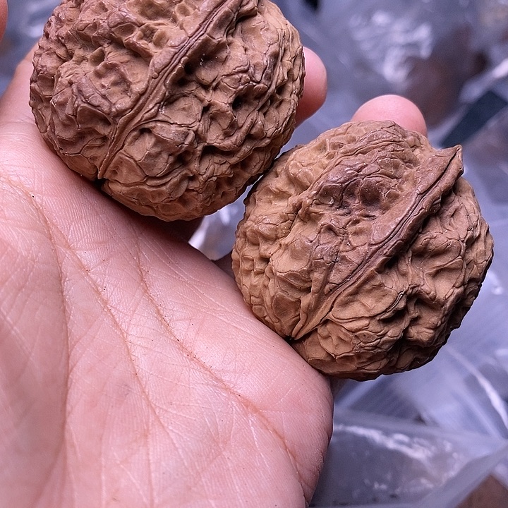 文玩核桃把件   270