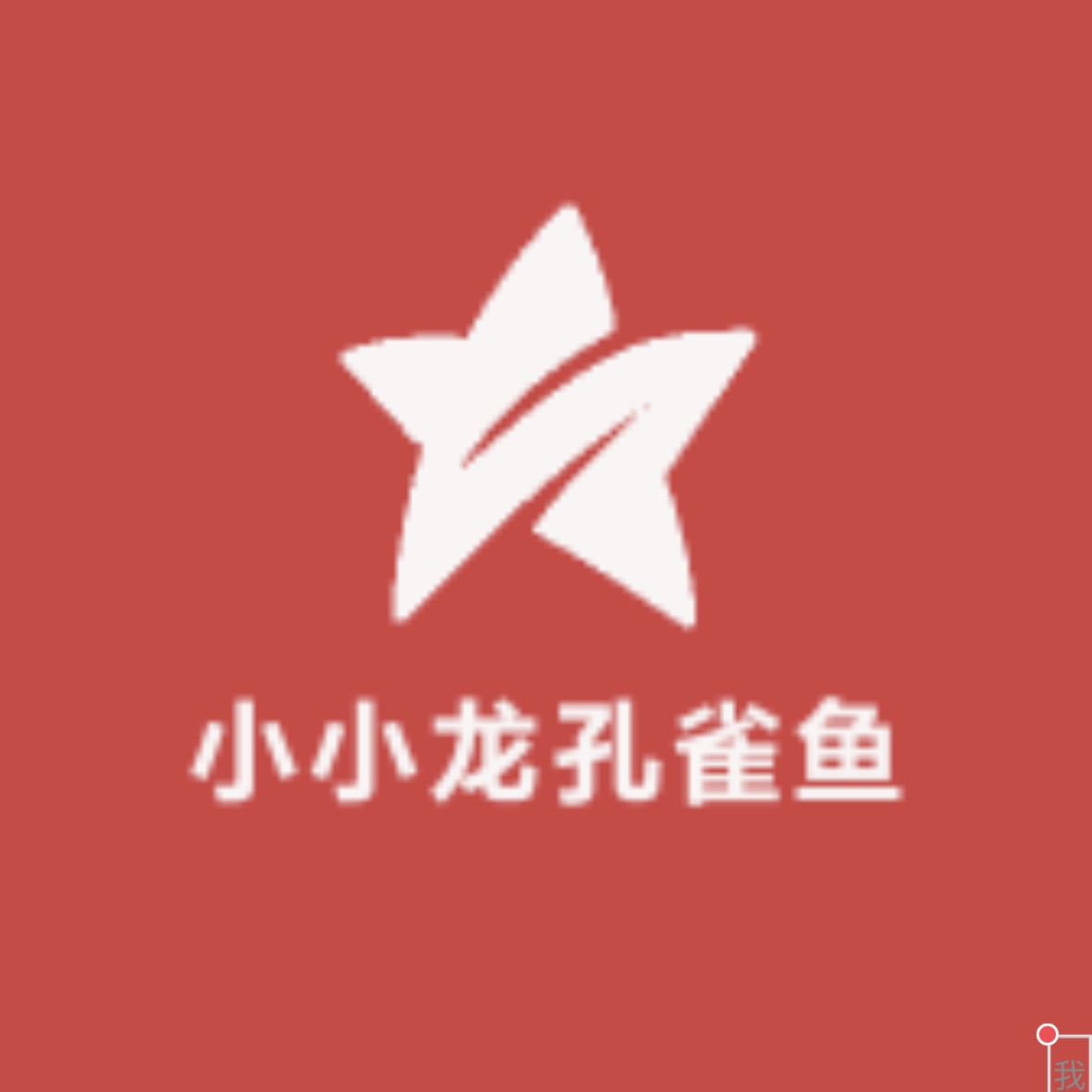 精品孔雀鱼随机一对