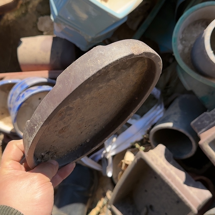 在家里等车回家我才放心啦吧呵呵