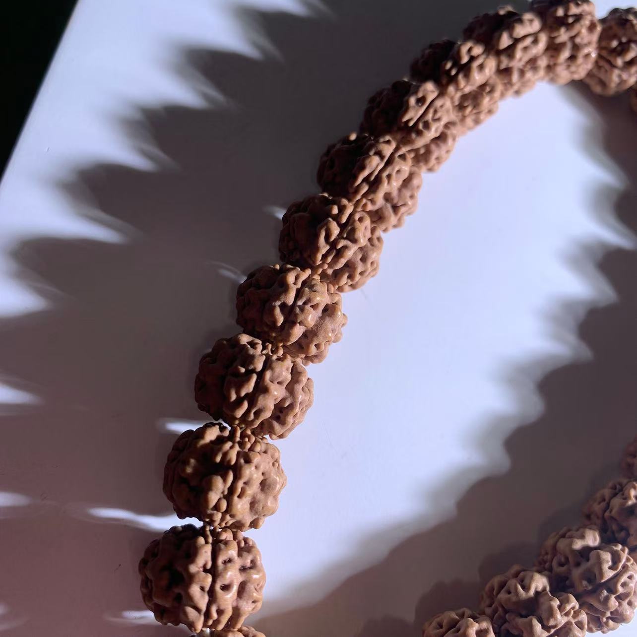 2026憨憨梅花新籽顶奢红方印