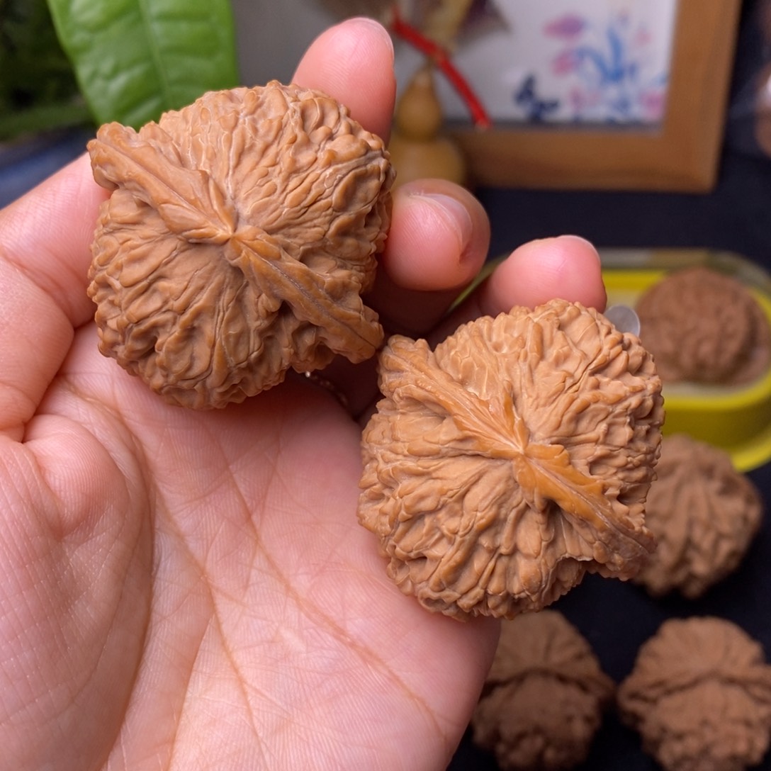 文玩核桃把件43.5白狮子