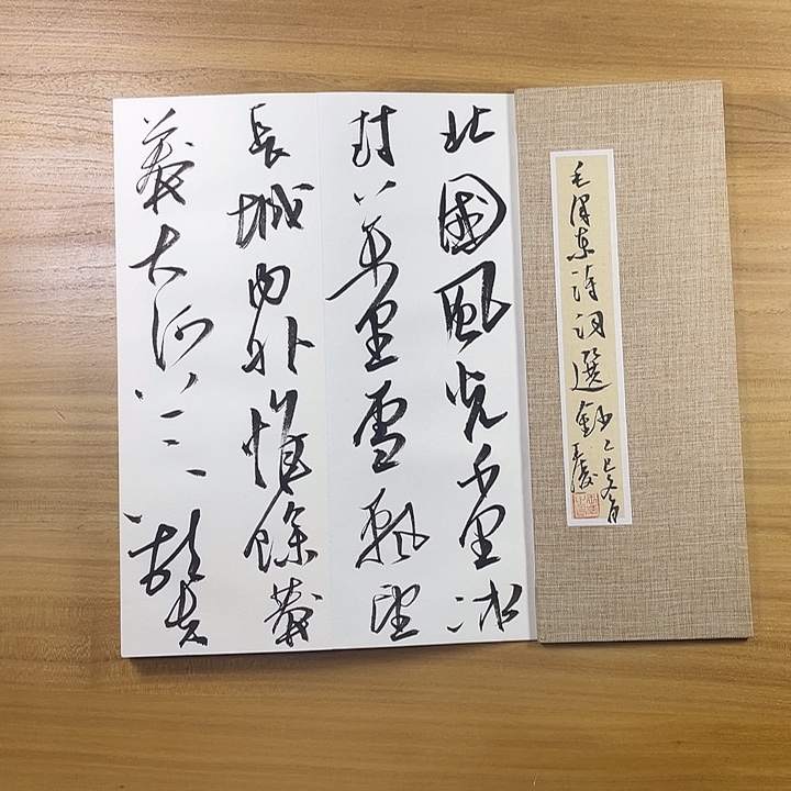 书法中书协会员作品