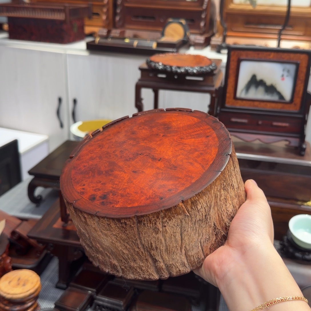 木缅花樱木瘤底座