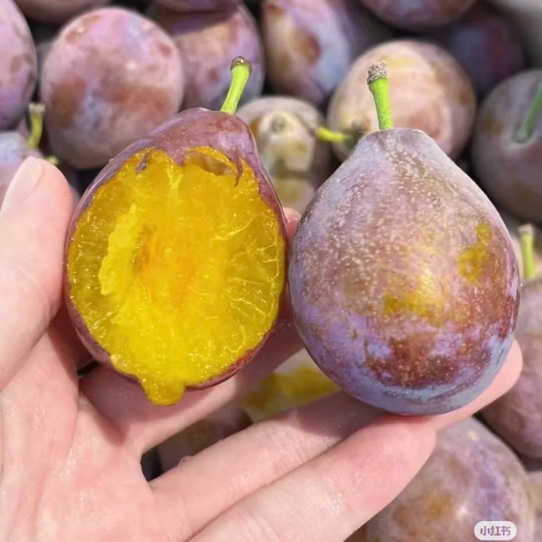 【秋季福利】新彊西梅(1斤)