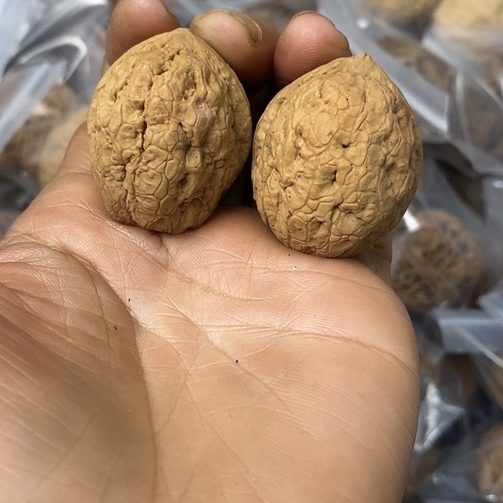 核桃云南铁核桃基地21