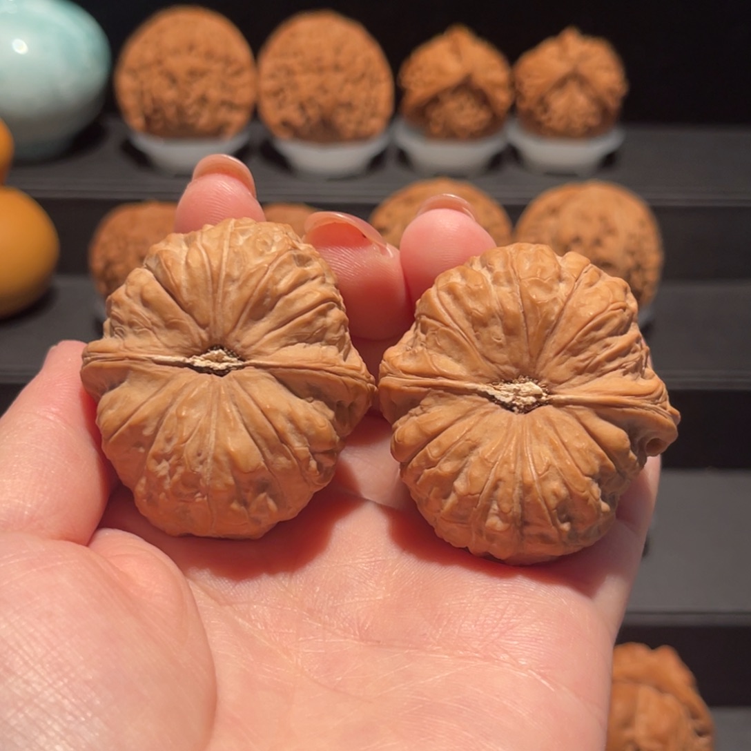 南瓜墩41精品，全品159