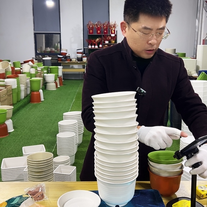 正品矮陶口15高15白色10只带托