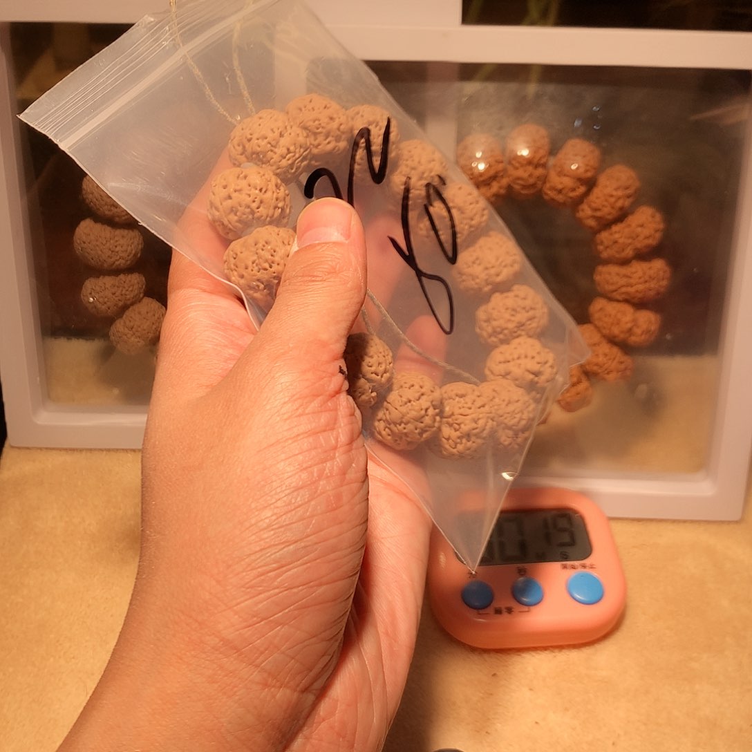 金刚菩提手串L****22。      