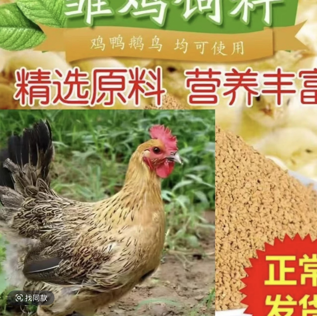 (10+2)青脚麻散养鸡饲料好喂养营养均衡