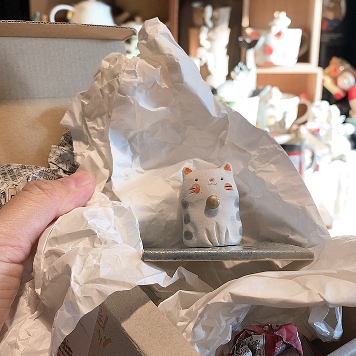 柿***猫香插小猫咪……………………