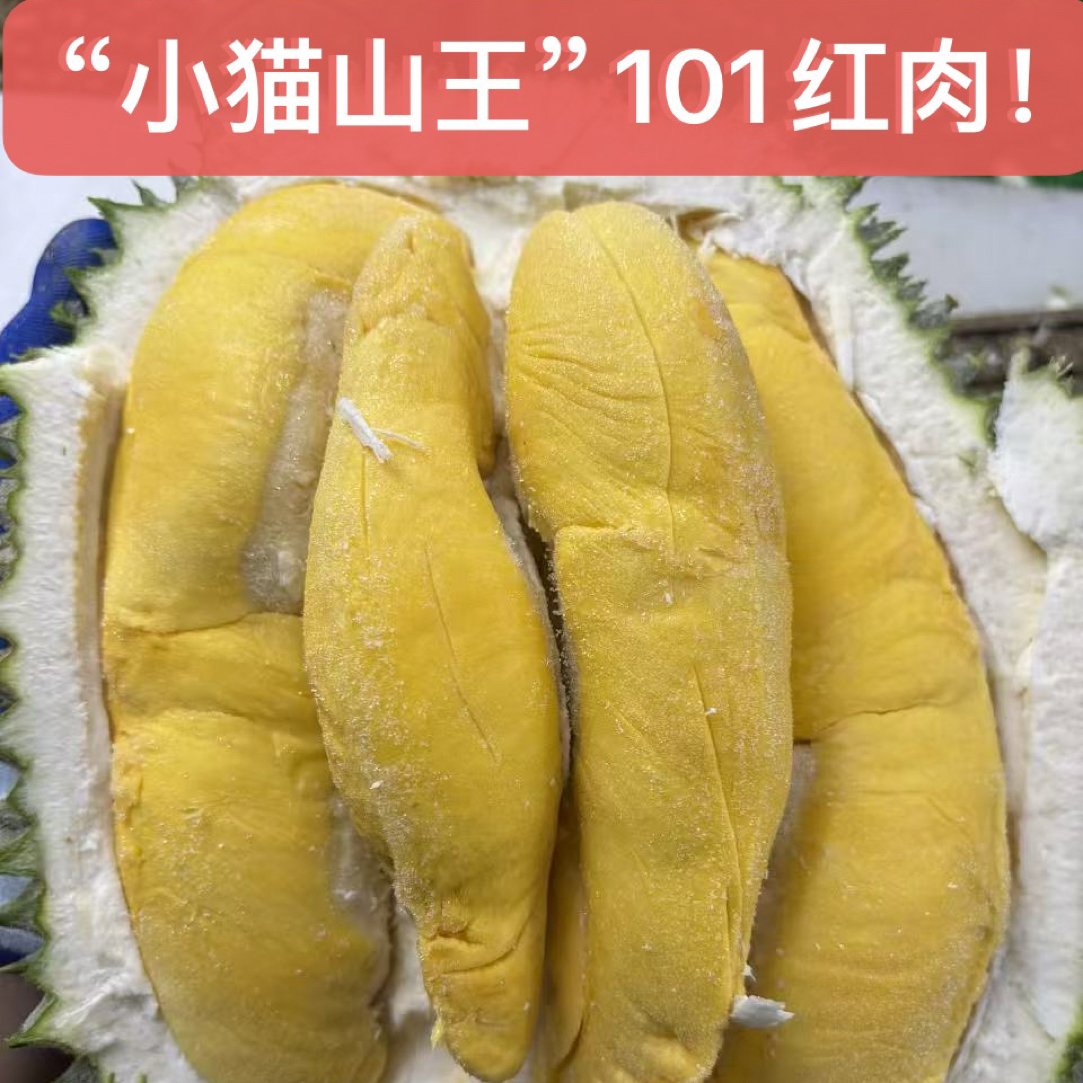 （卷毛现剥红肉纯肉福利）莲花村红肉D101马来西亚液氮冷冻进口！