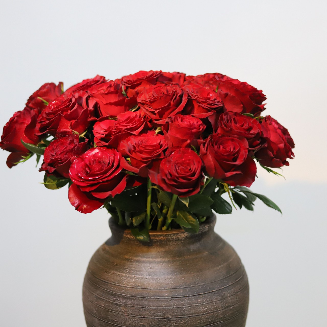 云南基地高原红玫瑰 婚庆（1单中通冷链包邮）【2单京东空运包邮】