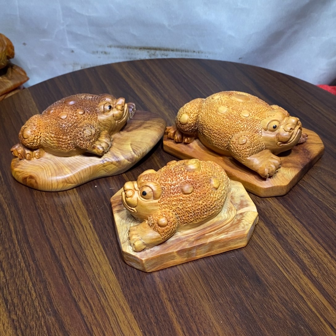 静***水柏木（崖柏）崖柏呱呱