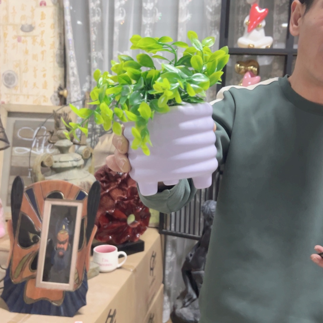 陶红陶红陶红陶红绿植