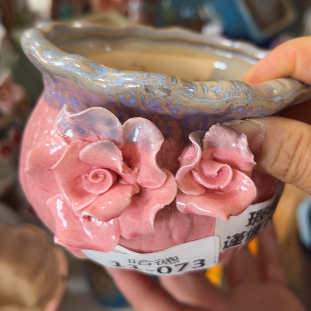 多肉花盆，满20发货，爱退款拉黑