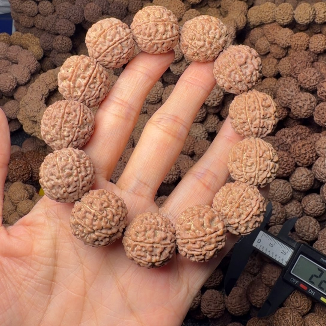 手串金刚菩提9瓣卡20尺，78号