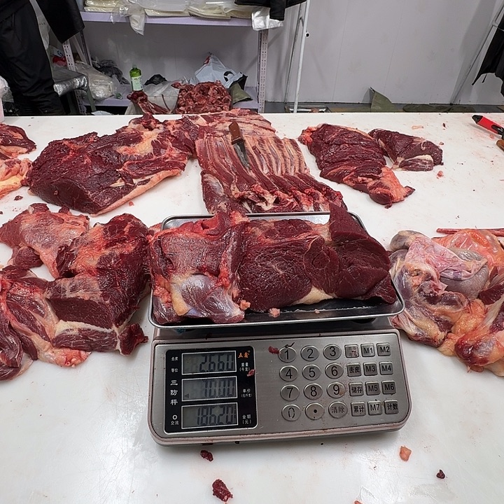 不***净12个月中国大陆马腿肉