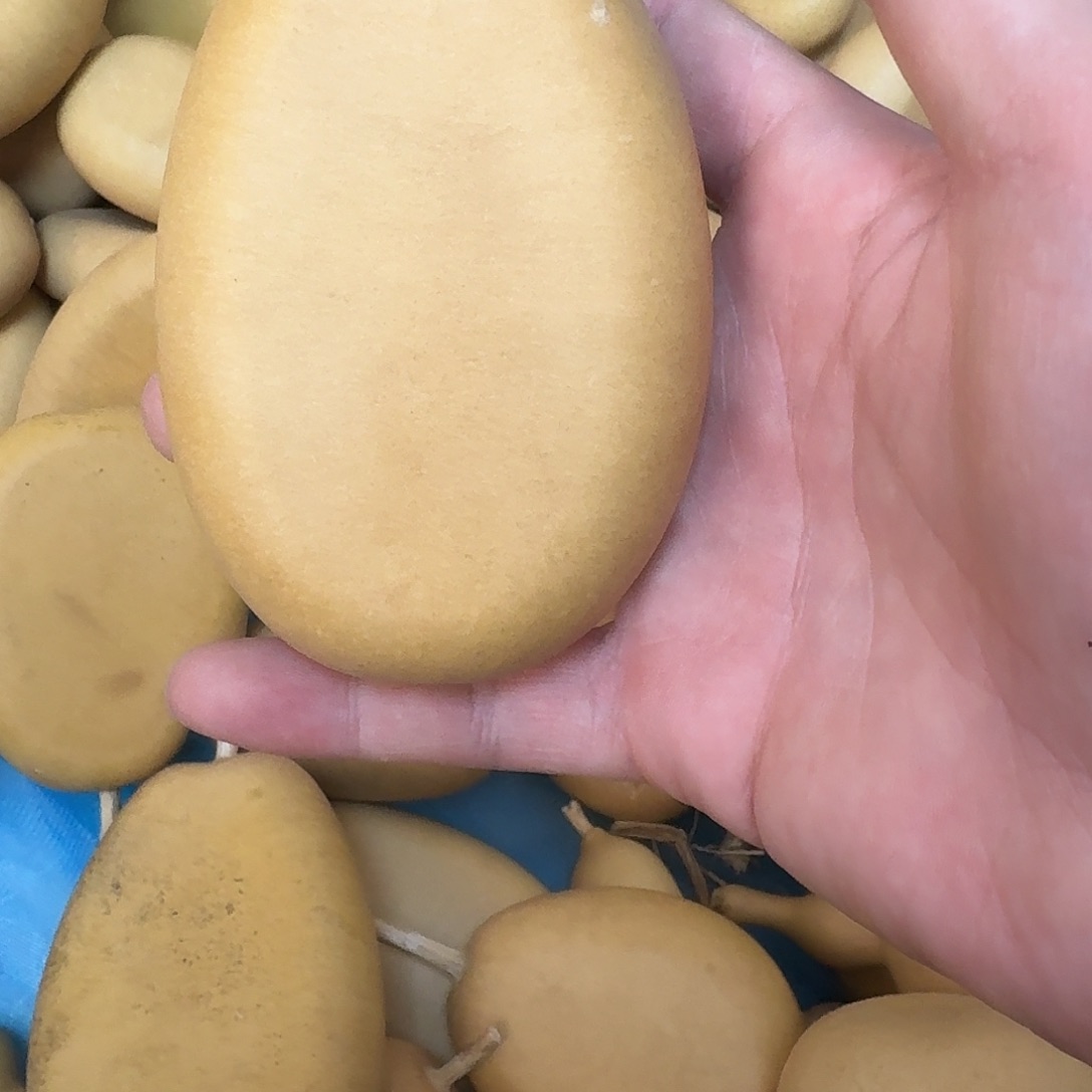 了***了直播间葫芦专属链接5