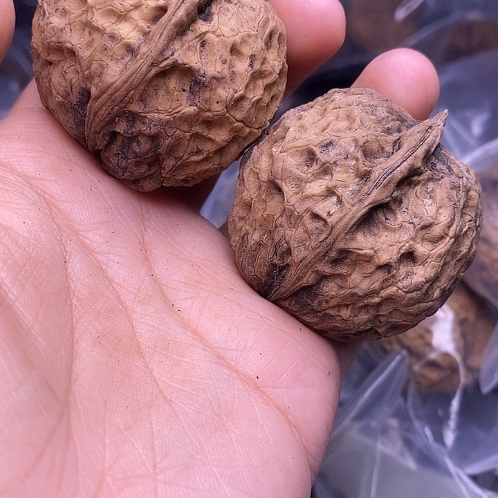 ****主文玩核桃把件  237