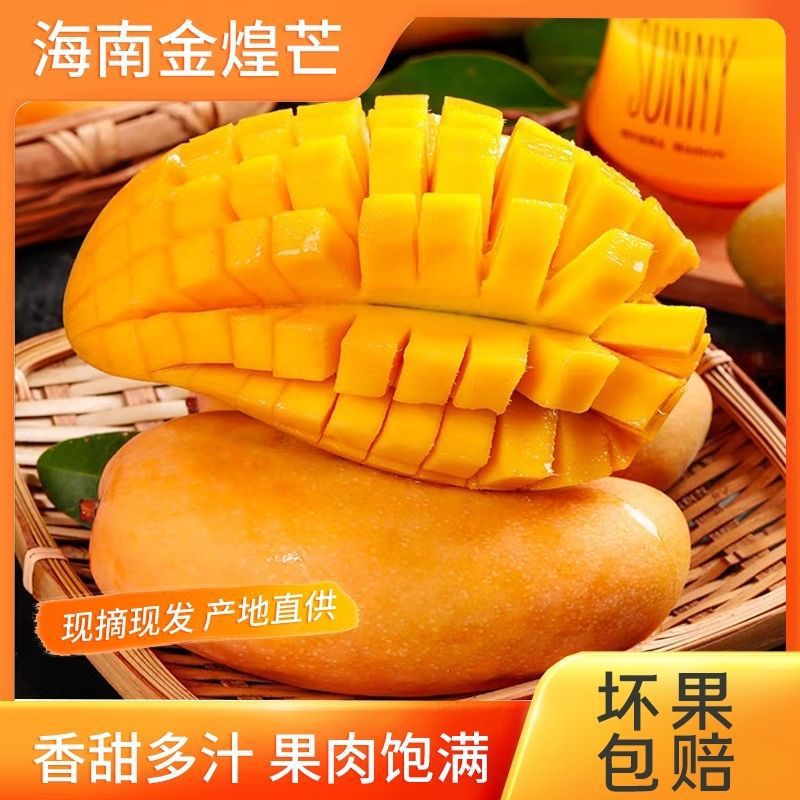 【新鲜金煌芒】自家果园青黄皮金煌芒现摘现发核薄肉厚饱满多汁