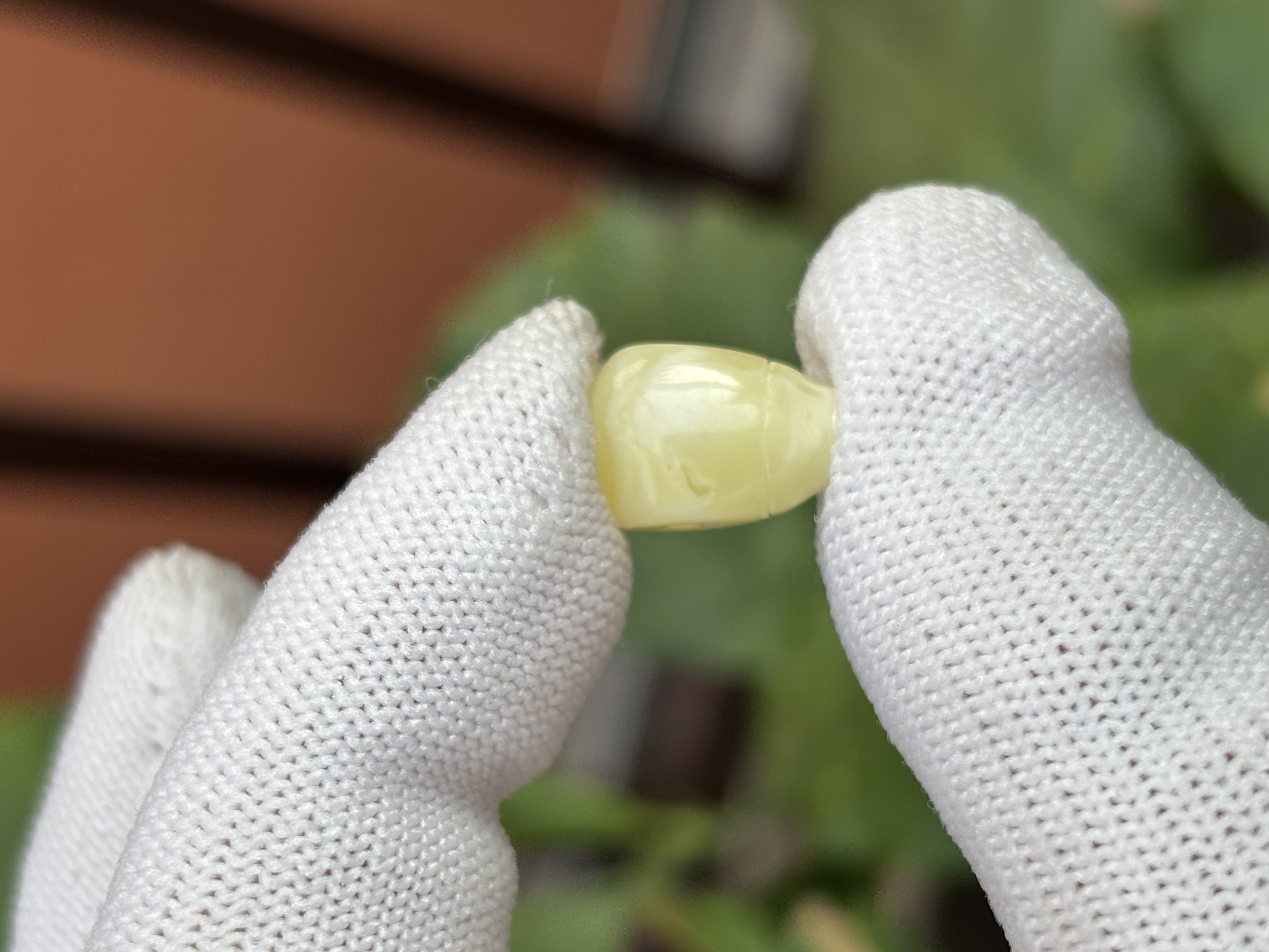 5480天然蜜蜡琥珀三通9.4x8x13.6mm