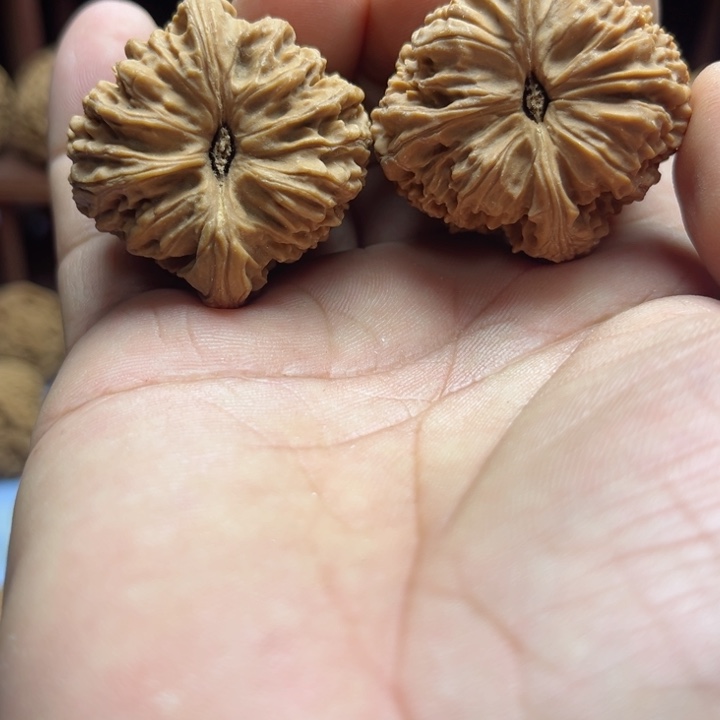 完全开放辰*月南疆石