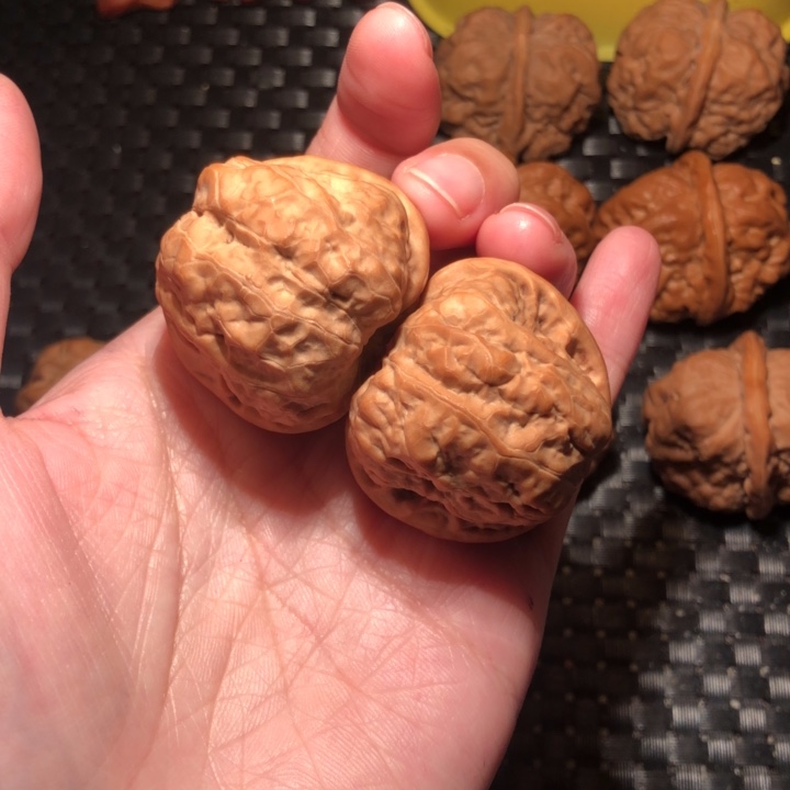 蒙***๘把件文玩核桃肉球蛤蟆