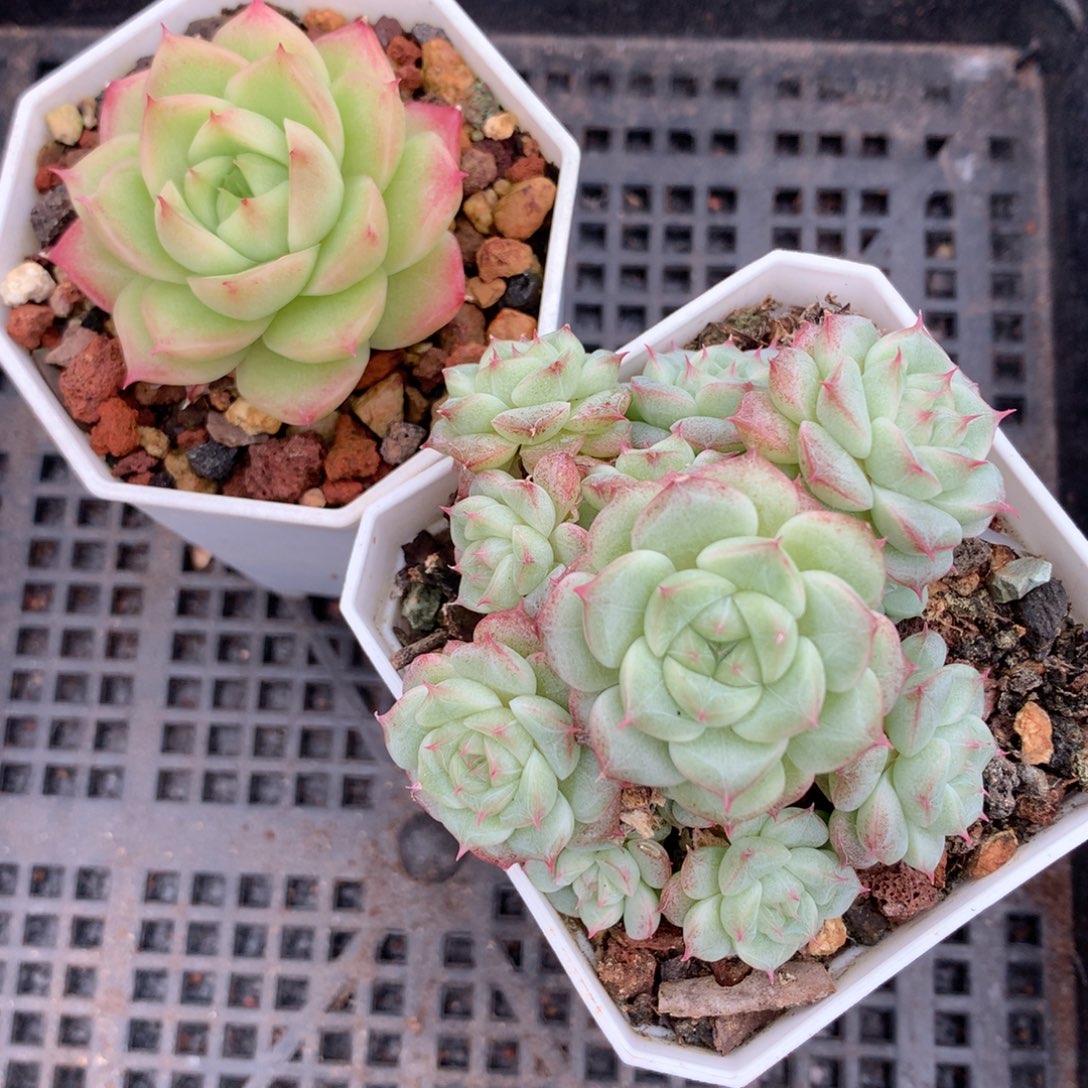 1211-69 套餐一组