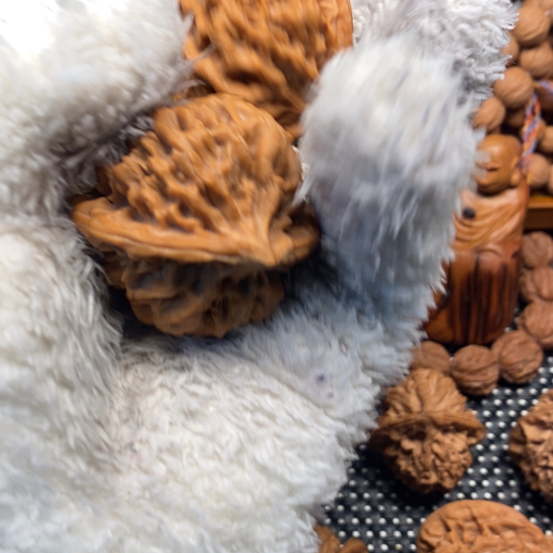 仲***晨秦岭山为典型丘陵山区丘陵山区