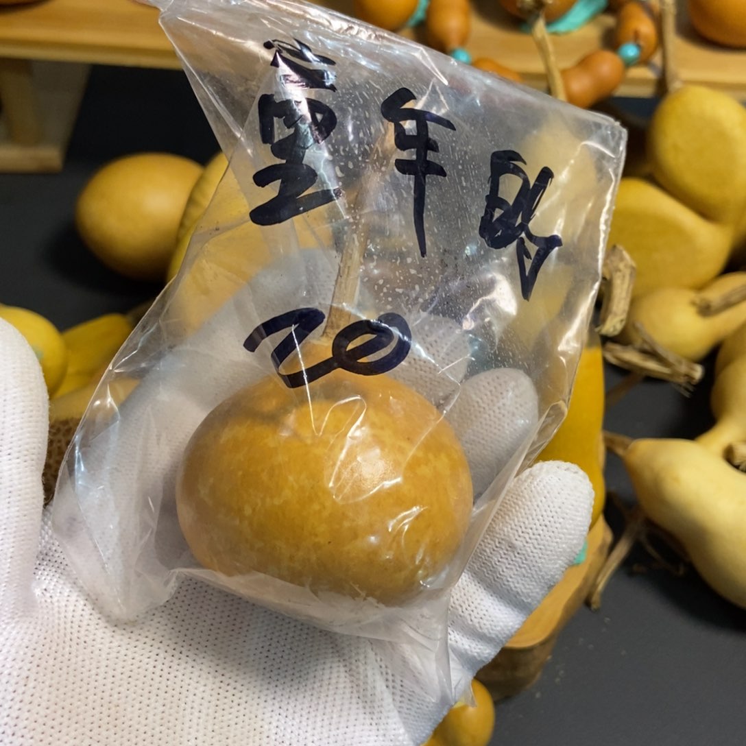 童****机葫芦葫芦真的